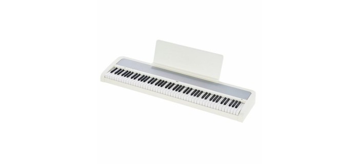 KORG B2 White